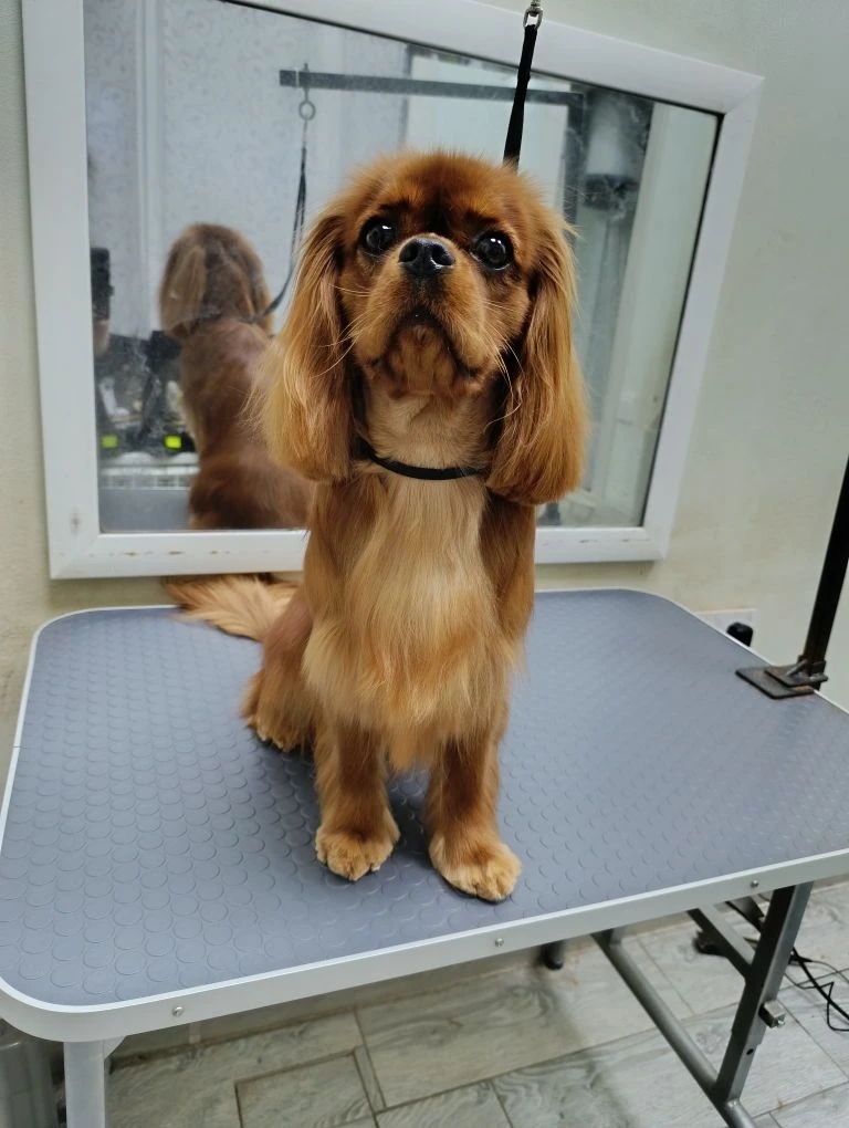 Наши работы